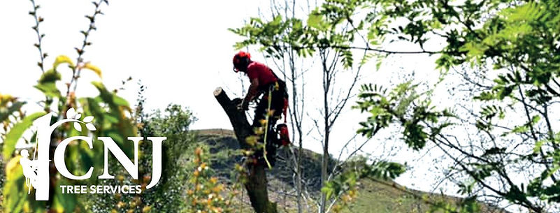 CNJ tree service banner.jpg