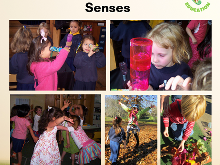 The Sensory Classroom: Strategies for Learning Engagement