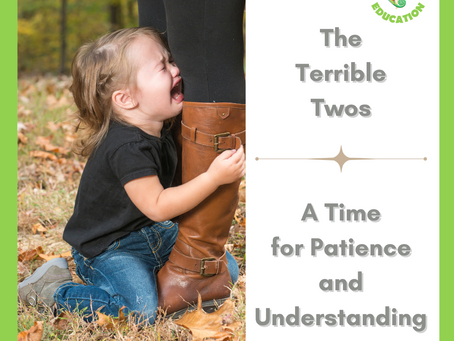 Navigating the Terrible Twos