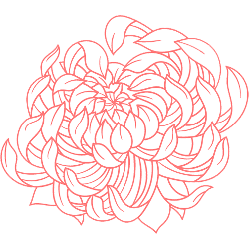 rosa vermehla.png
