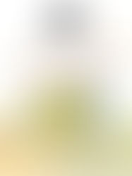 6th Annual Moneta Madness Charity Disc Golf Tourney