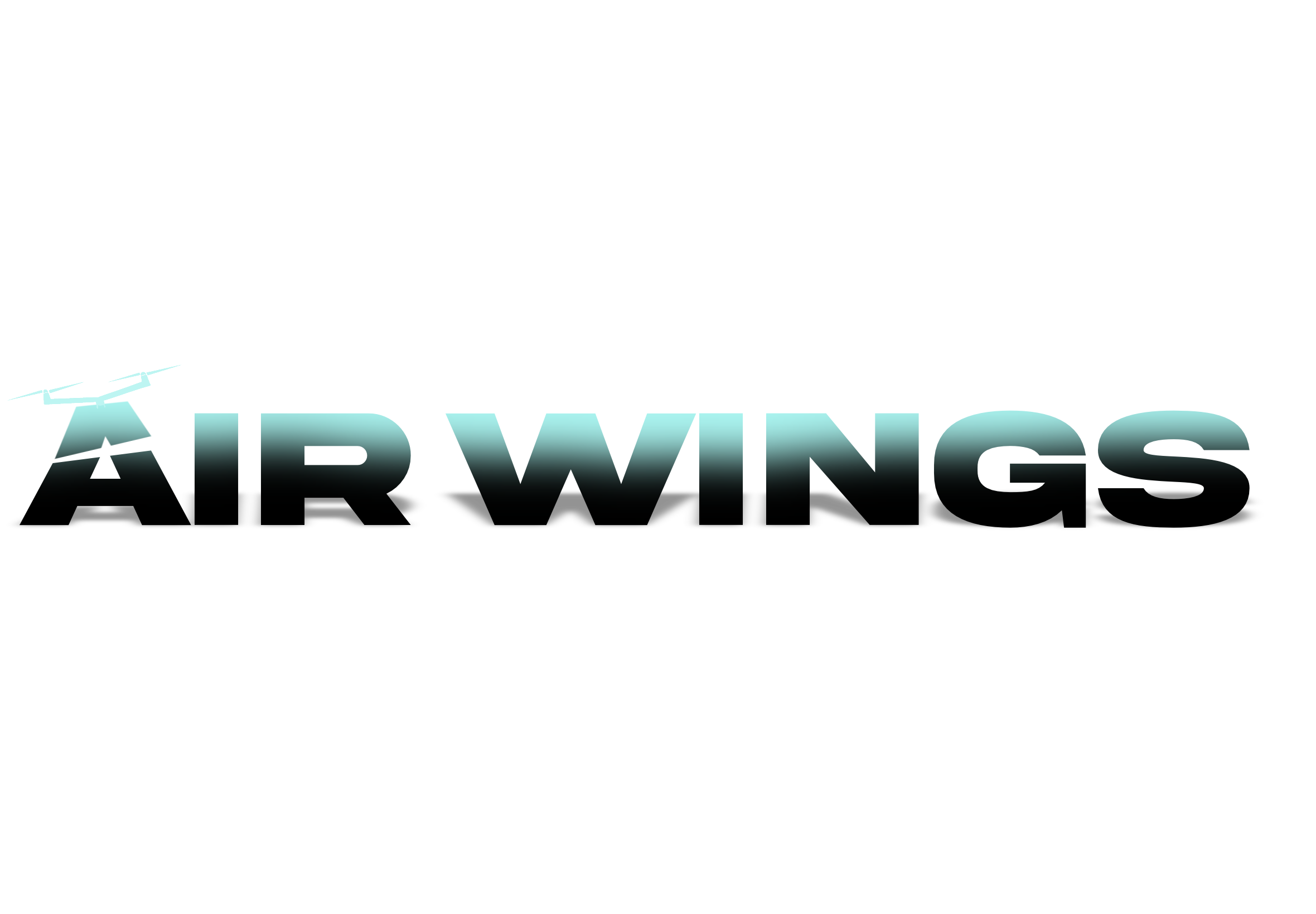 AirWingsco Georgia