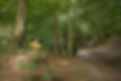 IMG_3161.jpeg