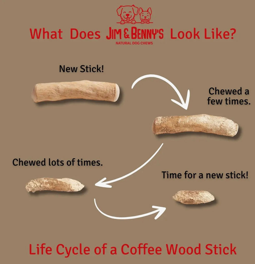 Thumbnail: All-natural Coffee Wood Chew
