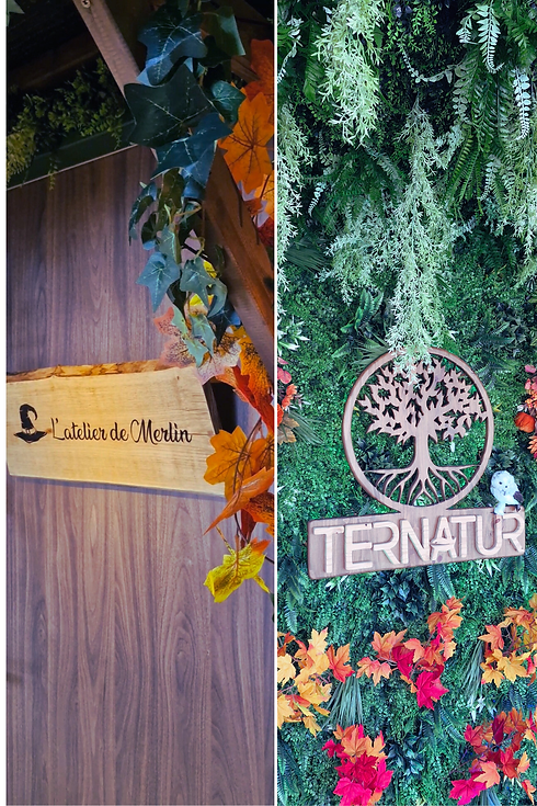 Design sans titre.png