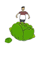 choux.png