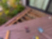 bellinghamhomeworks deck work 2025.jpg