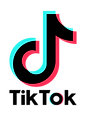 tiktok logo.png