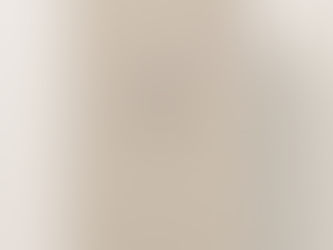 Top 10! Business Logo website Simple Beige Custom  Pocket Folder