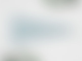 Hot Review! Here Comes the Bride Wedding Ceremony Sign Pennant Pennant Flag