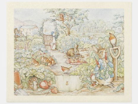 Top 5! Beatrix Potter Peter the Rabbit Friends 10 x 8 Rug