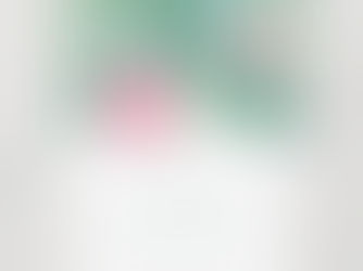 Top 10! January Desk Top Calendar Card Hibiscus