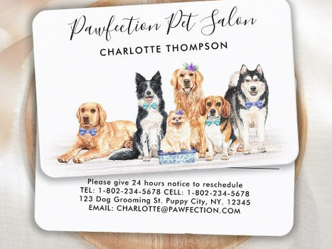 Hot Deals! Dog Groomer Adorable Dogs Pet Sitter Business Appointment Card