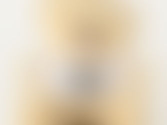 Big Deals! Galapagos land tortoise illustration teddy bear