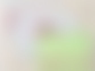 Big Deals! Flamingos File Folders Designs