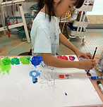 IMG_5254.jpg