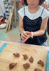 IMG_2245.jpeg