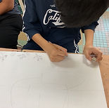 IMG_5546.jpg