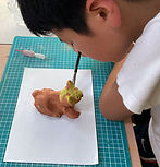 IMG_5468.jpg