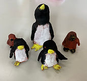 IMG_5636.jpg