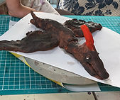 IMG_5764.jpg