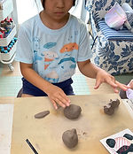 IMG_5145.jpg