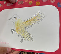 IMG_0039.jpeg