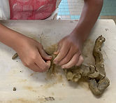 IMG_5174.jpg