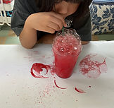 IMG_5390.jpg