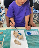 IMG_5494.jpg