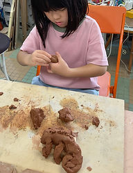 IMG_2447.jpeg
