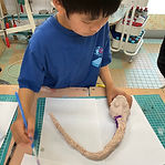 IMG_5553.jpg