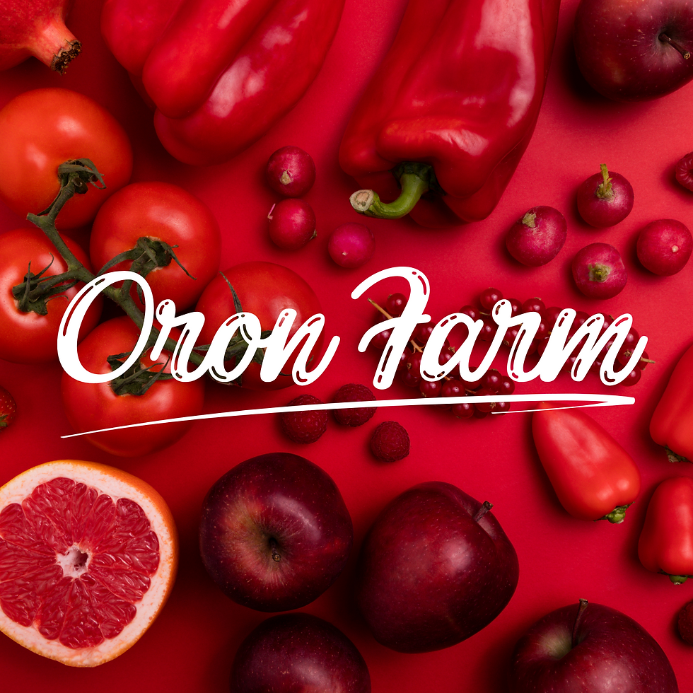 ocean surfing (5).png