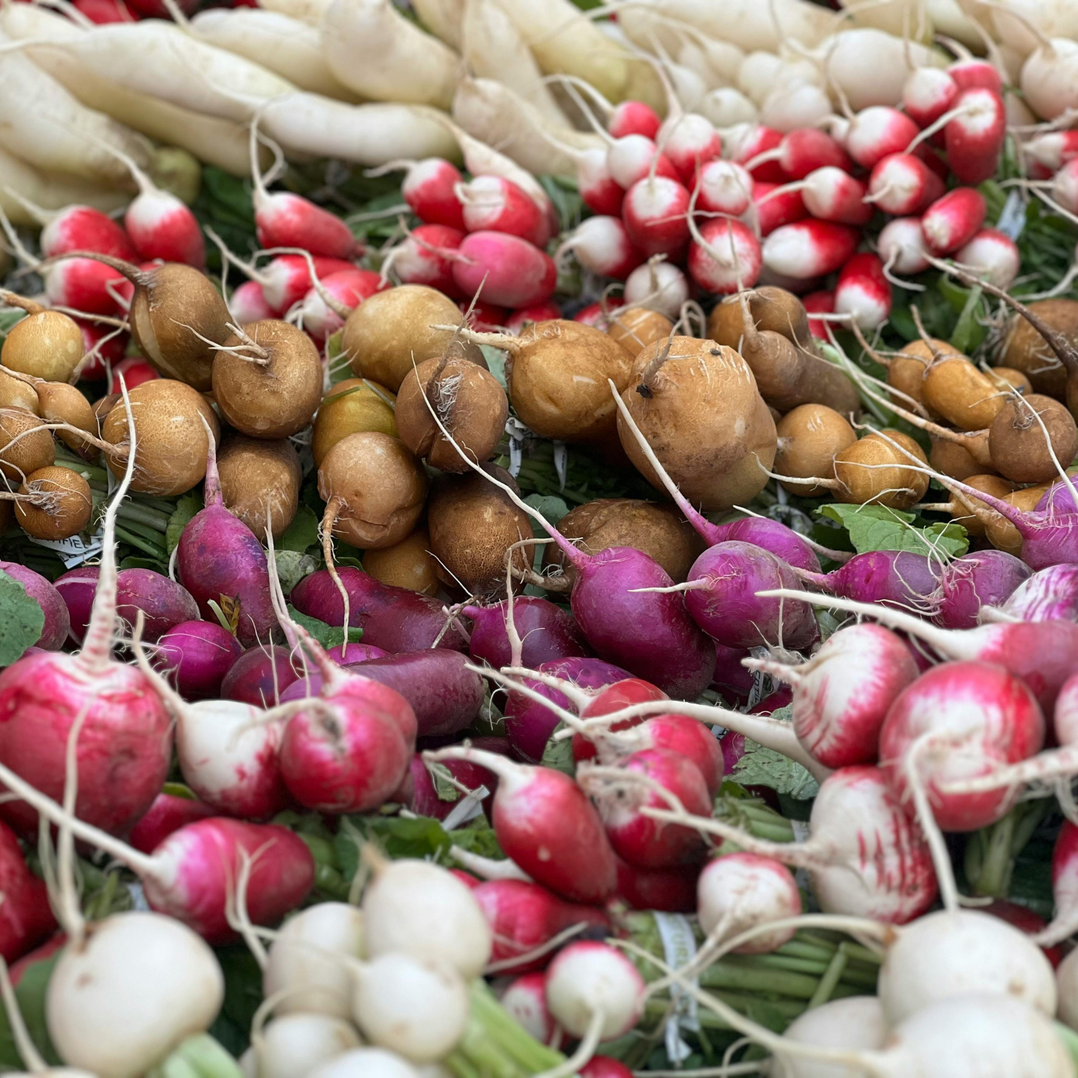 ויולטה (מכלוא)