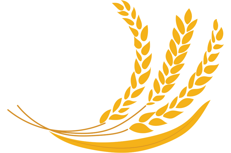 עיצוב ללא שם (1).png