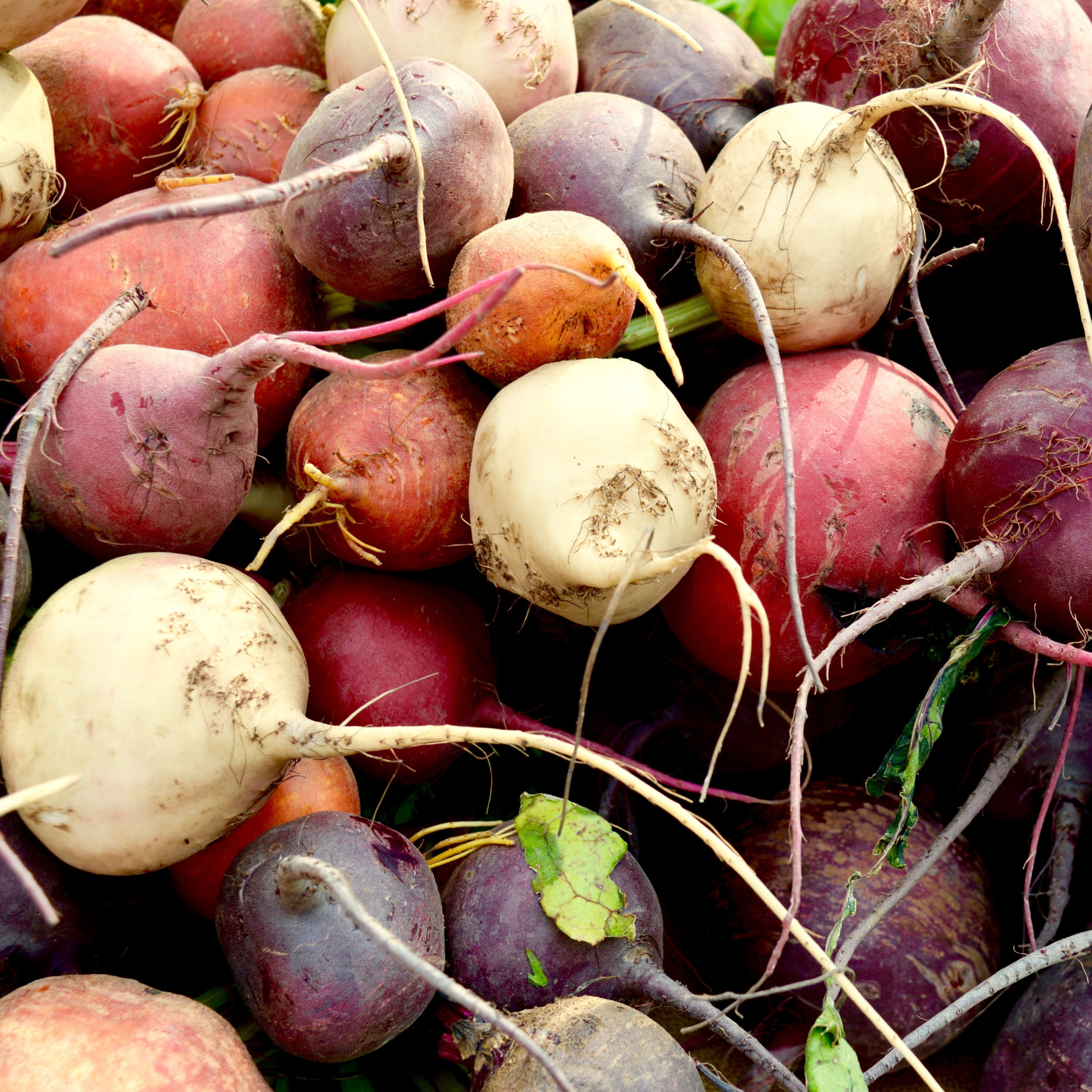 בולדור – צהוב