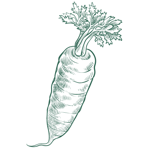 מיקרו עלי גזר