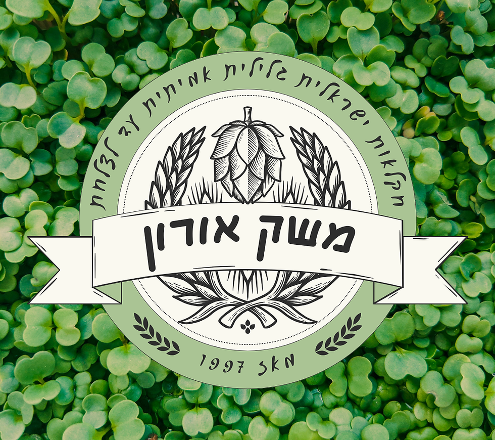 עיצוב ללא שם (7).png