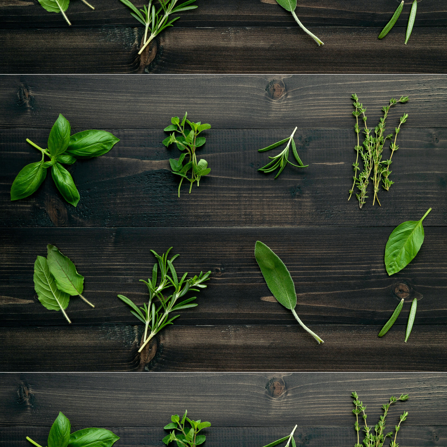 בזיליקום ג'נובזה ירוק