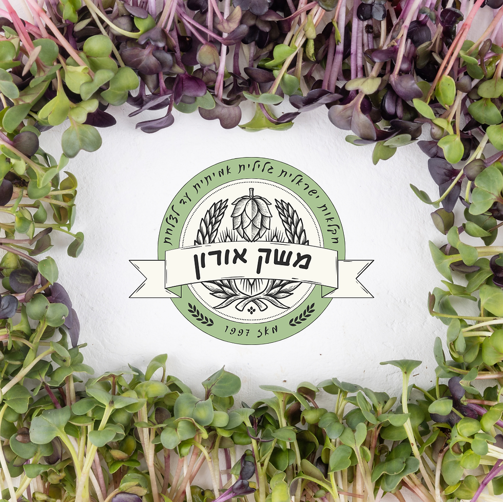 עיצוב ללא שם (4).png
