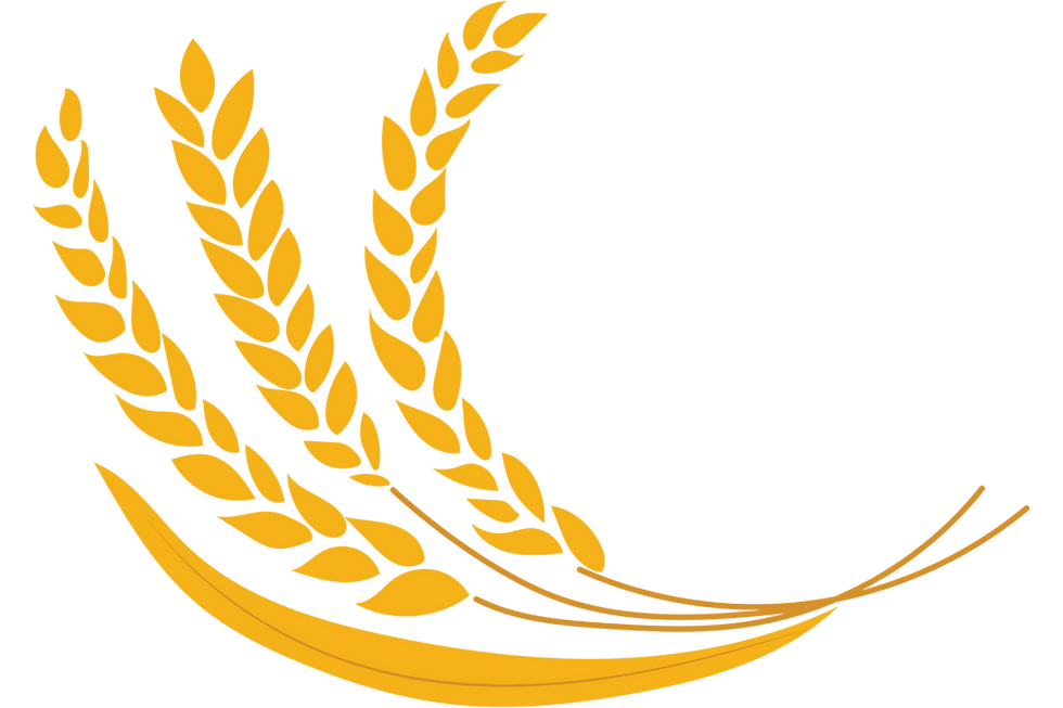 עיצוב ללא שם.png