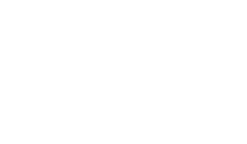 הַלִּיקֵר שֶׁל שְׁטִיקֶר_edited.png