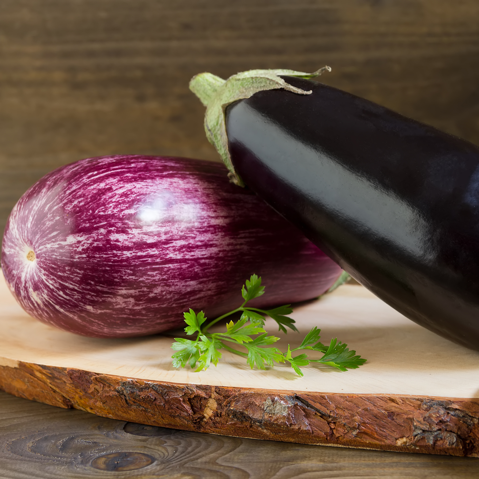 חציל פרטנוקרפי - 206