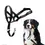 縮圖：Halti Headcollar