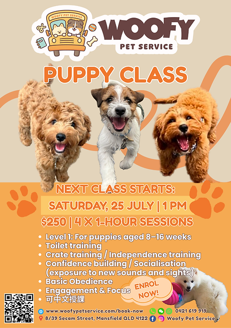 puppy Class 幼犬課 (202607).png