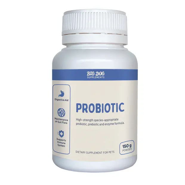 Big Dog Probiotics For Dogs