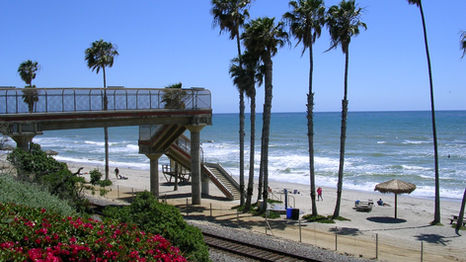 DSCN6007.JPG