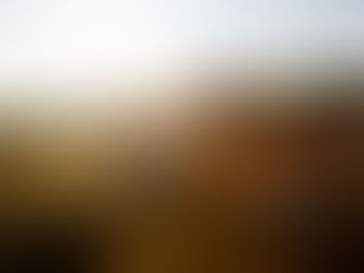 Desert Disaster- By Harrison