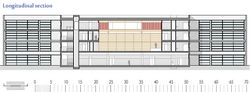 Longitudinal section
