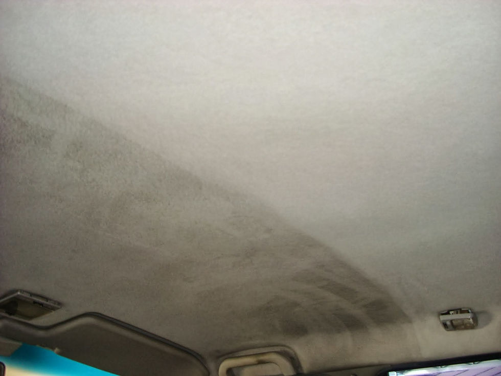 Limpeza e Higienização Automotiva